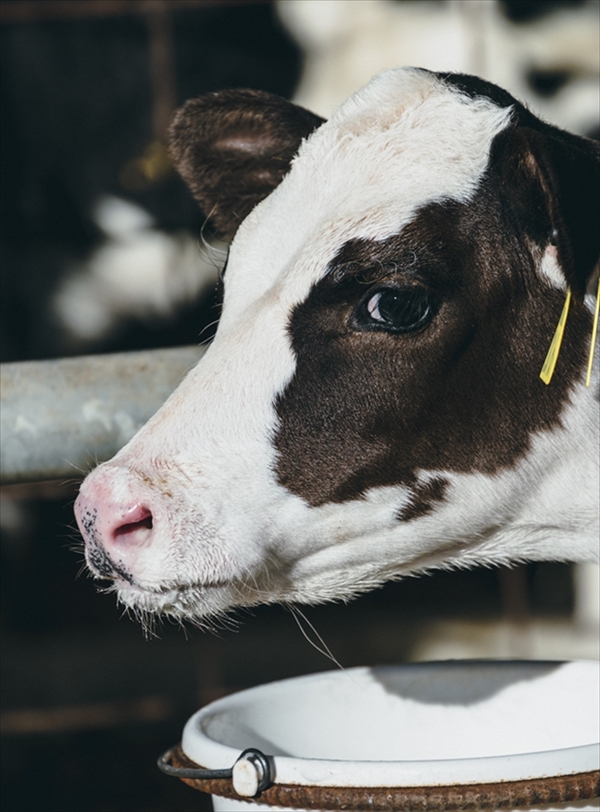 農　河口湖暮らし