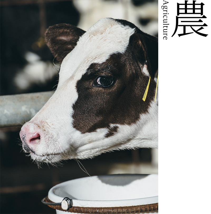 農　河口湖暮らし