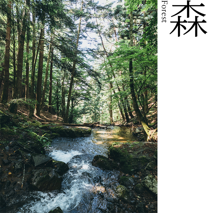 森　河口湖暮らし